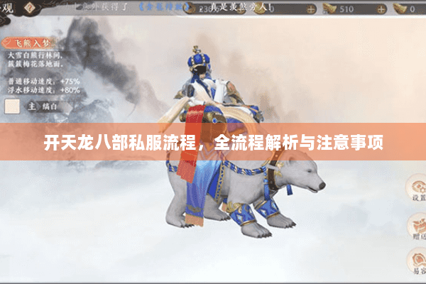 开天龙八部私服流程，全流程解析与注意事项