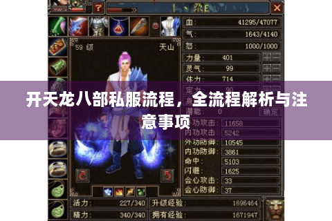 开天龙八部私服流程，全流程解析与注意事项
