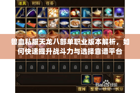 兽血私服天龙八部单职业版本解析，如何快速提升战斗力与选择靠谱平台