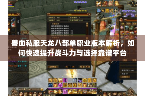 兽血私服天龙八部单职业版本解析，如何快速提升战斗力与选择靠谱平台