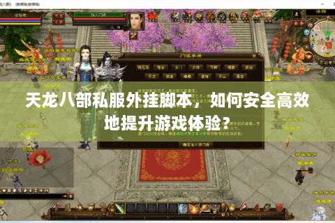 天龙八部私服外挂脚本，如何安全高效地提升游戏体验？