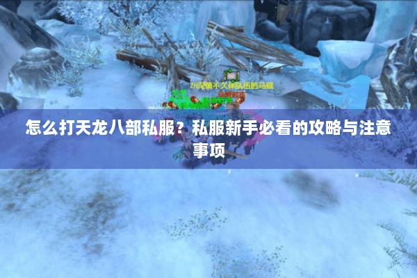 怎么打天龙八部私服？私服新手必看的攻略与注意事项