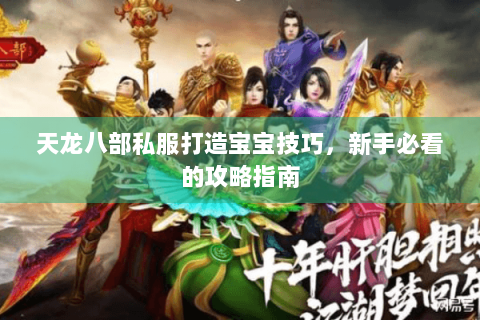 天龙八部私服打造宝宝技巧，新手必看的攻略指南