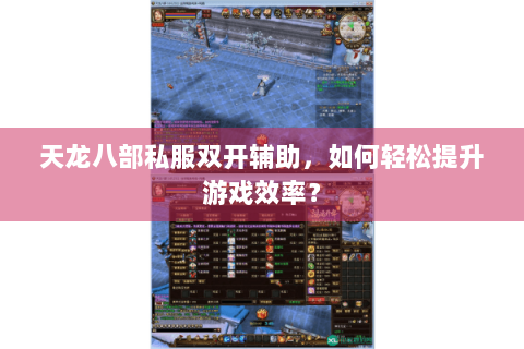 天龙八部私服双开辅助，如何轻松提升游戏效率？