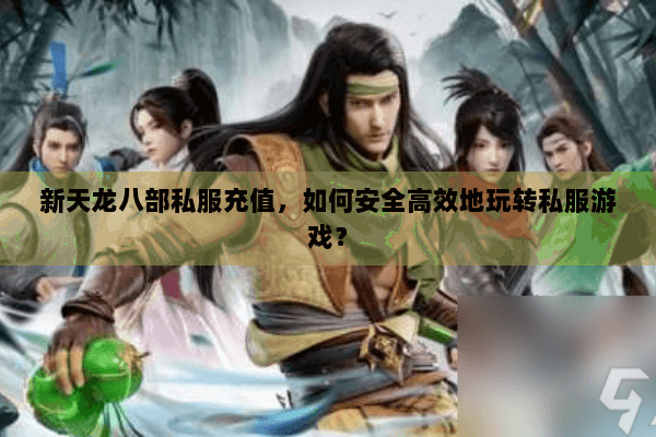 新天龙八部私服充值，如何安全高效地玩转私服游戏？