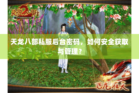 天龙八部私服后台密码，如何安全获取与管理？