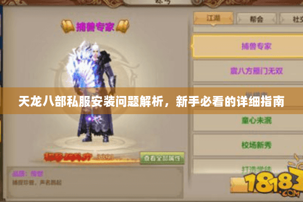 天龙八部私服安装问题解析，新手必看的详细指南