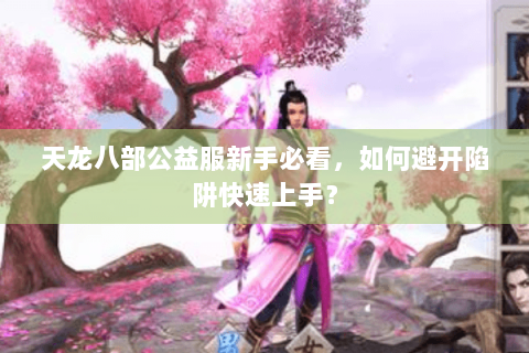 天龙八部公益服新手必看，如何避开陷阱快速上手？