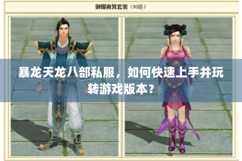 暴龙天龙八部私服，如何快速上手并玩转游戏版本？
