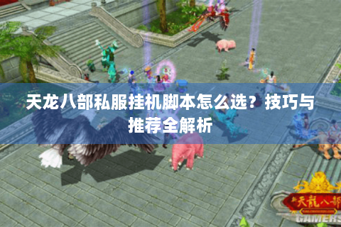 天龙八部私服挂机脚本怎么选？技巧与推荐全解析