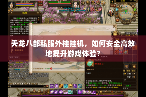 天龙八部私服外挂挂机，如何安全高效地提升游戏体验？