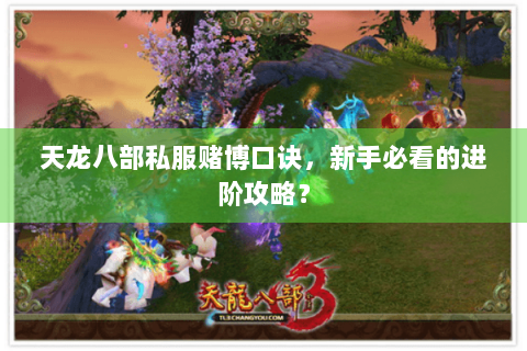 天龙八部私服赌博口诀，新手必看的进阶攻略？