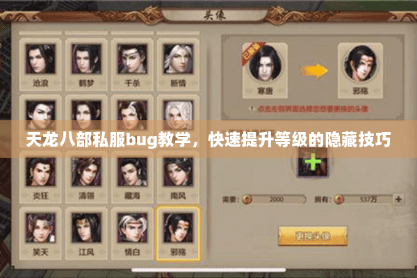 天龙八部私服bug教学，快速提升等级的隐藏技巧