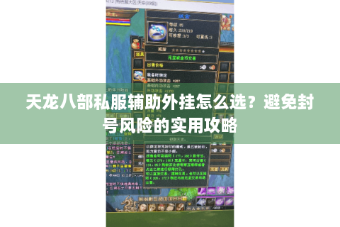 天龙八部私服辅助外挂怎么选？避免封号风险的实用攻略
