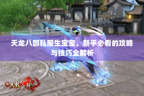 天龙八部私服生宝宝，新手必看的攻略与技巧全解析