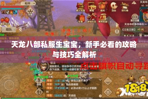 天龙八部私服生宝宝，新手必看的攻略与技巧全解析