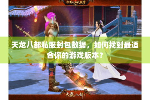 天龙八部私服封包数据，如何找到最适合你的游戏版本？