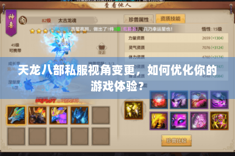天龙八部私服视角变更，如何优化你的游戏体验？