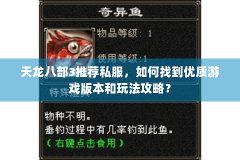 天龙八部3推荐私服，如何找到优质游戏版本和玩法攻略？