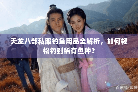 天龙八部私服钓鱼用品全解析，如何轻松钓到稀有鱼种？