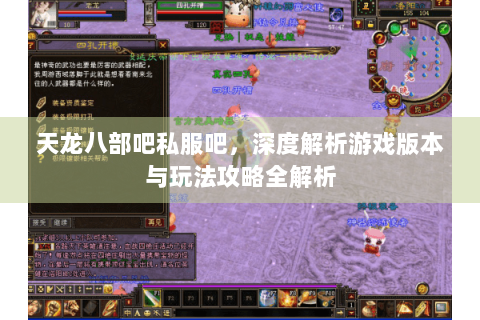天龙八部吧私服吧，深度解析游戏版本与玩法攻略全解析