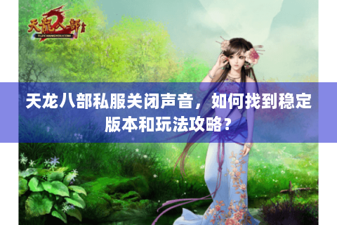 天龙八部私服关闭声音，如何找到稳定版本和玩法攻略？