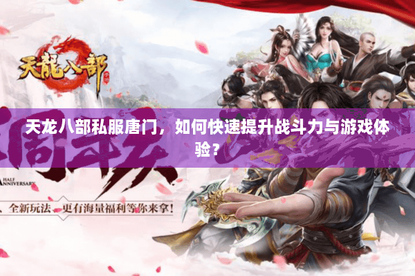 天龙八部私服唐门，如何快速提升战斗力与游戏体验？