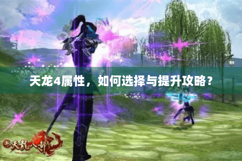 天龙4属性，如何选择与提升攻略？