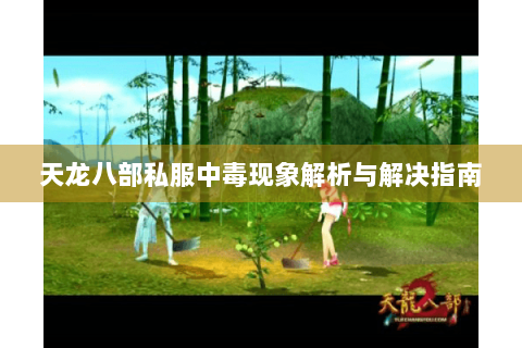 天龙八部私服中毒现象解析与解决指南