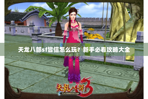 天龙八部sf皆信怎么玩？新手必看攻略大全