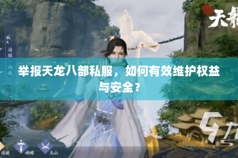 举报天龙八部私服，如何有效维护权益与安全？