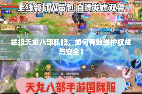 举报天龙八部私服，如何有效维护权益与安全？