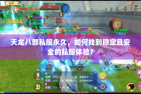 天龙八部私服永久，如何找到稳定且安全的私服体验？