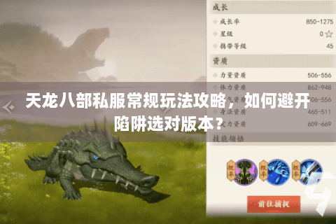 天龙八部私服常规玩法攻略，如何避开陷阱选对版本？