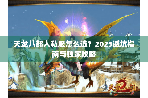 天龙八部人私服怎么选？2023避坑指南与独家攻略