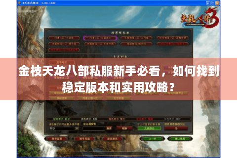 金枝天龙八部私服新手必看，如何找到稳定版本和实用攻略？