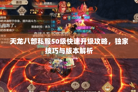 天龙八部私服50级快速升级攻略，独家技巧与版本解析
