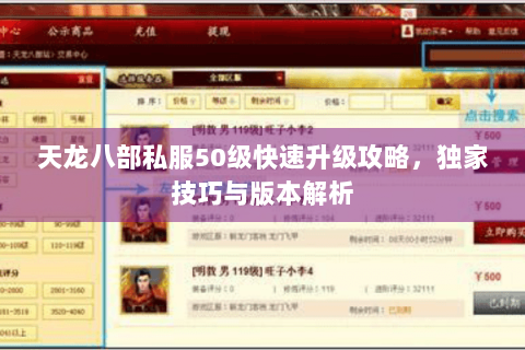 天龙八部私服50级快速升级攻略，独家技巧与版本解析