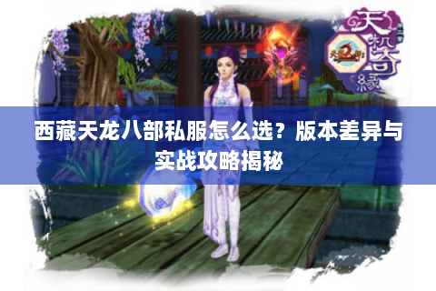 西藏天龙八部私服怎么选？版本差异与实战攻略揭秘