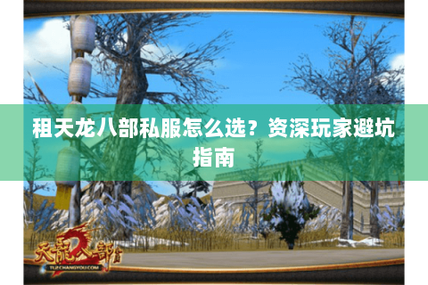 租天龙八部私服怎么选？资深玩家避坑指南