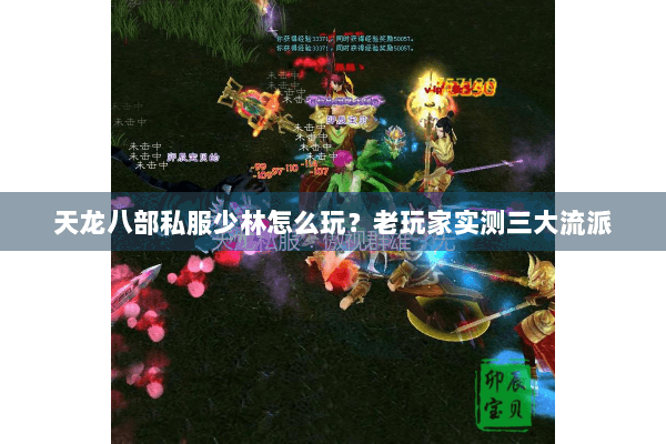 天龙八部私服少林怎么玩？老玩家实测三大流派