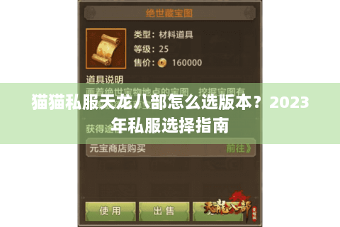 猫猫私服天龙八部怎么选版本？2023年私服选择指南