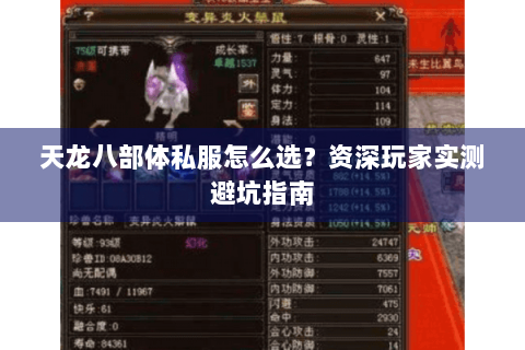 天龙八部体私服怎么选？资深玩家实测避坑指南