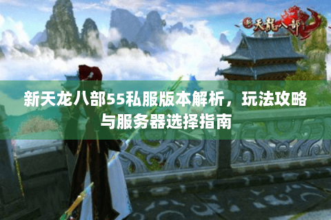 新天龙八部55私服版本解析，玩法攻略与服务器选择指南