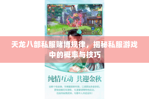 天龙八部私服赌博规律，揭秘私服游戏中的概率与技巧