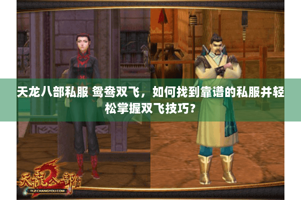天龙八部私服 鸳鸯双飞，如何找到靠谱的私服并轻松掌握双飞技巧？