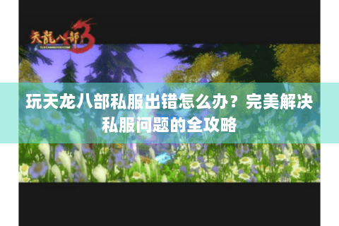 玩天龙八部私服出错怎么办？完美解决私服问题的全攻略