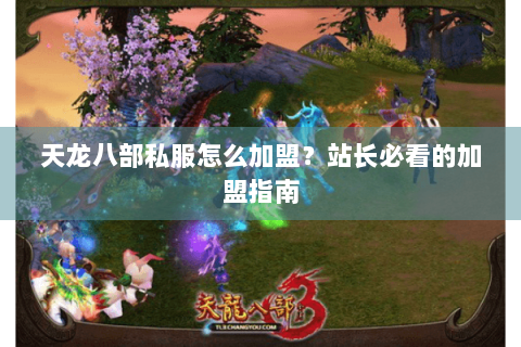 天龙八部私服怎么加盟？站长必看的加盟指南