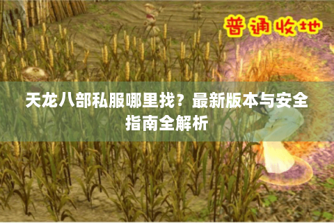 天龙八部私服哪里找？最新版本与安全指南全解析