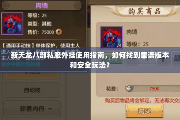新天龙八部私服外挂使用指南，如何找到靠谱版本和安全玩法？